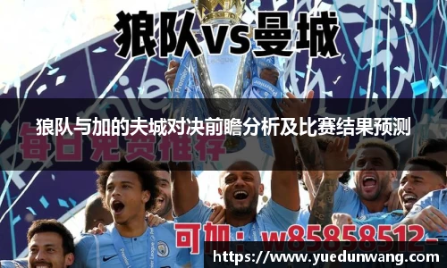 狼队与加的夫城对决前瞻分析及比赛结果预测